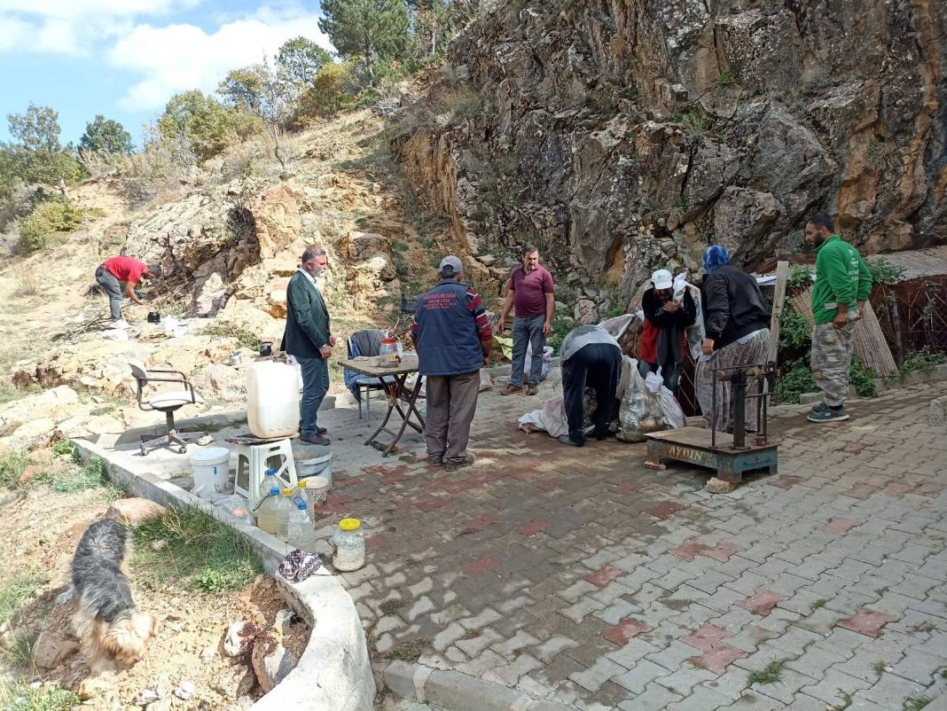 Konya’nın eşsiz lezzeti ininden çıktı, sofraya yolculuk başladı 3